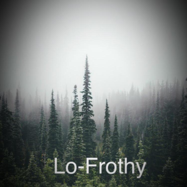 Lo-Frothy's avatar image