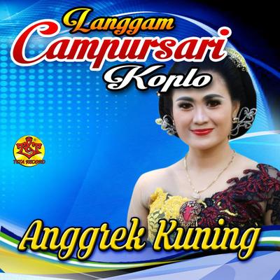 Langgam Campursari Koplo's cover