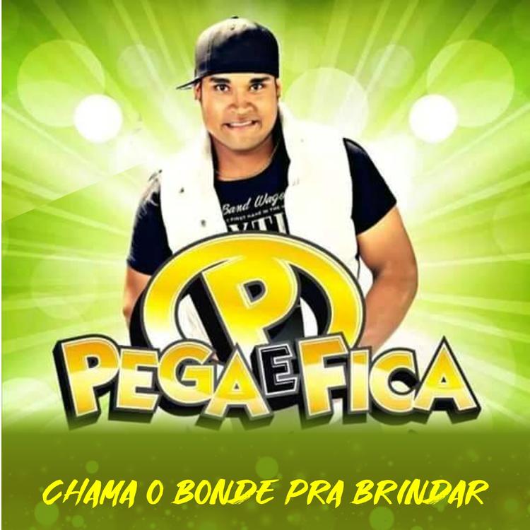 PEGA E FICA's avatar image