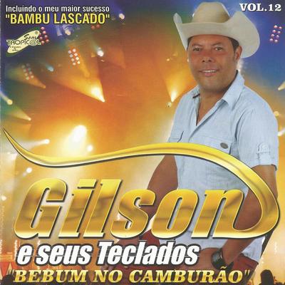 Bebum do Camburão By Gilson e Seus Teclados, Dimas e Seus Teclados's cover