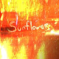 Sunflower's avatar cover