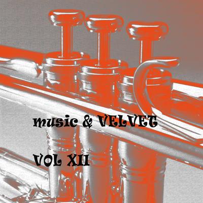 Music & Velvet Vol. XII's cover