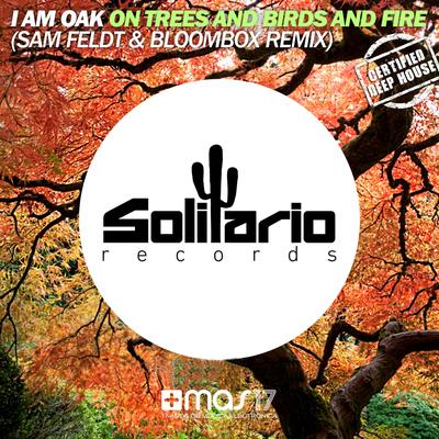 On Trees and Birds and Fire (Sam Feldt & Bloombox Remix Edit) By I Am Oak, Sam Feldt, Bloombox's cover