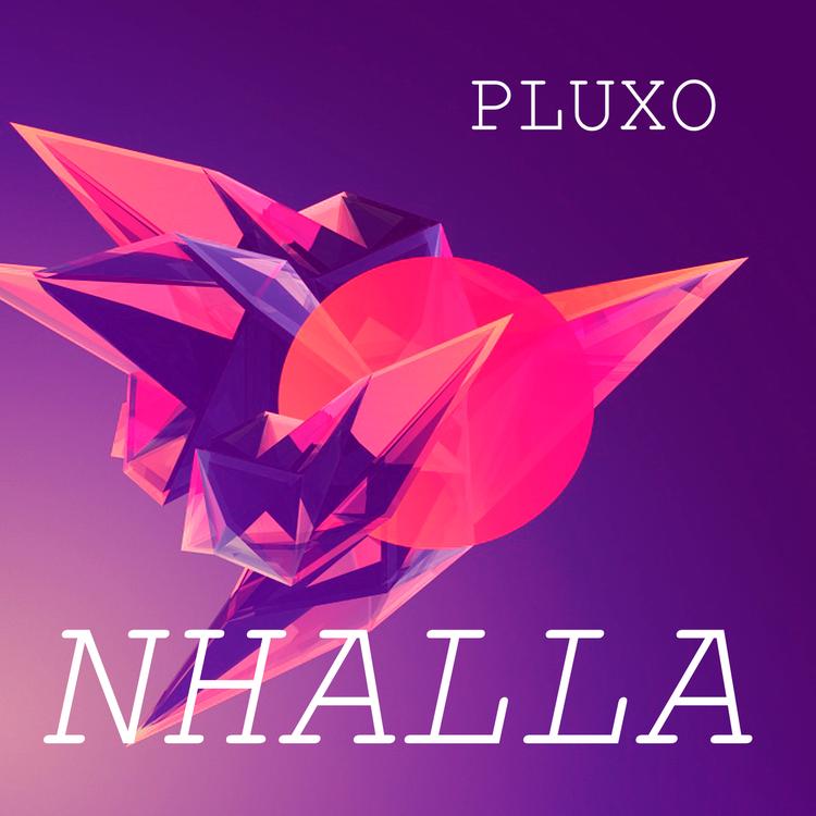 Pluxo's avatar image