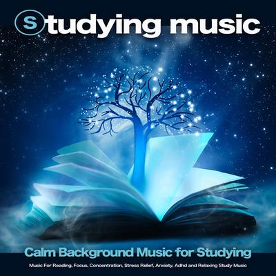 Music for ADHD By Studying Music, Study Playlist, Study Music's cover