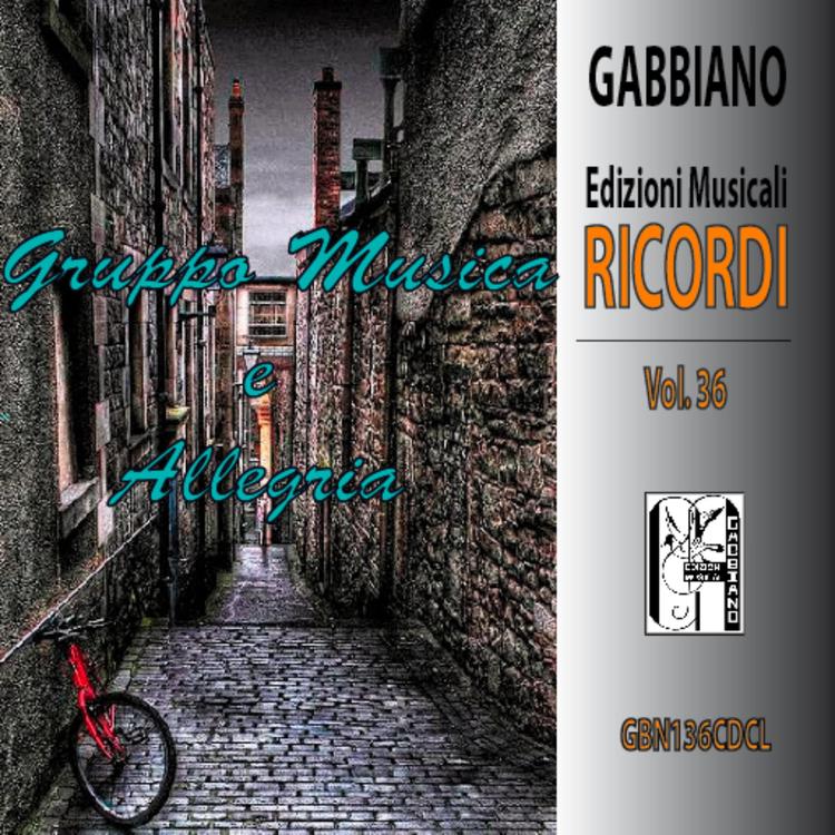 Gruppo Musica e Allegria's avatar image