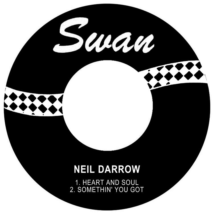 Neil Darrow's avatar image