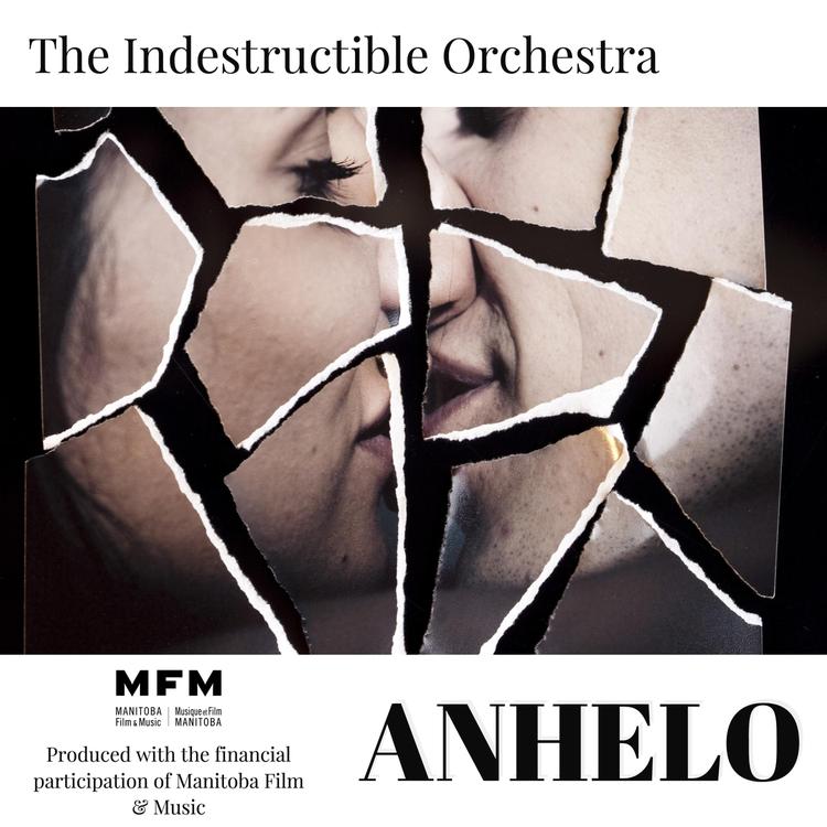 The Indestructible Orchestra's avatar image