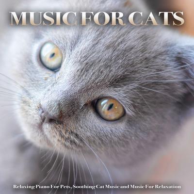 Sleeping Music For Cats By Cat Music Experience, Cat Music, Music For Cats's cover