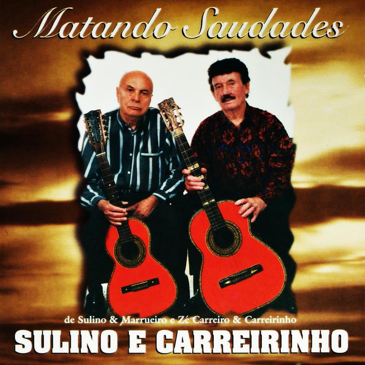 Sulino e Carreirinho's avatar image