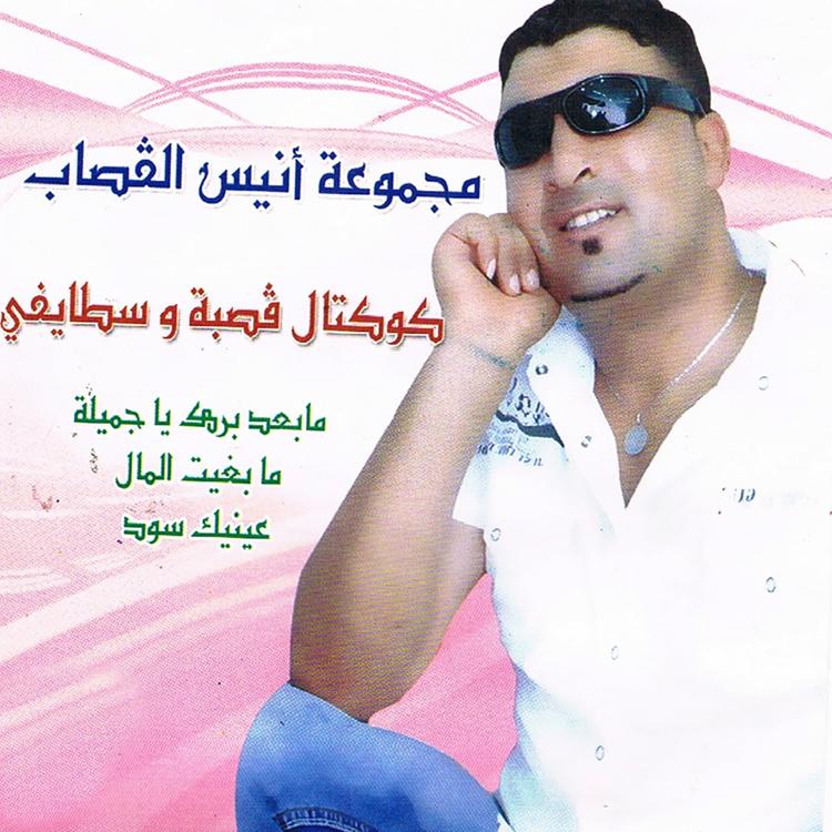 Anis El Gassab's avatar image