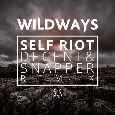 Self Riot (Decent & Snapper Remix) By Decent & Snapper's cover