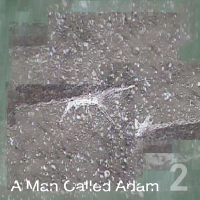 C.P.I. (Godiva Mix) By A Man Called Adam's cover
