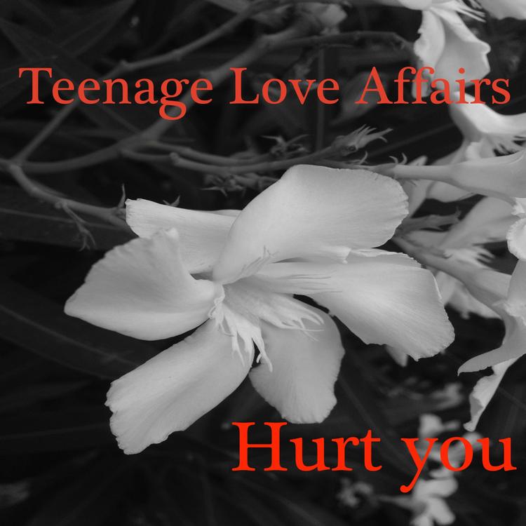 Teenage Love Affairs's avatar image