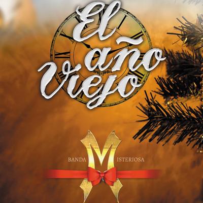 Al Año Viejo's cover