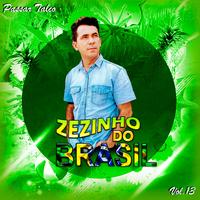 Zezinho do Brasil's avatar cover