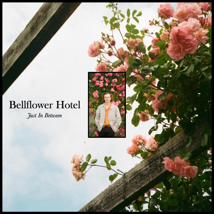 Bellflower Hotel's avatar image