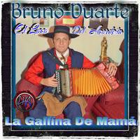 Bruno Duarte el loco del acordeón's avatar cover