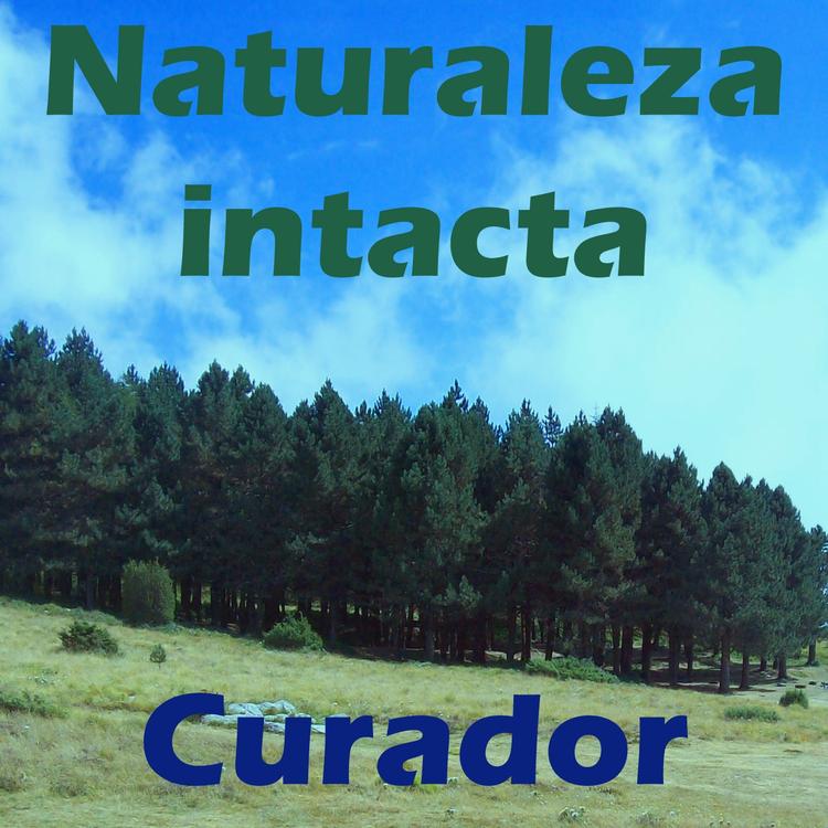 Curador's avatar image