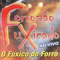 Forrozão Fuxicado's avatar cover