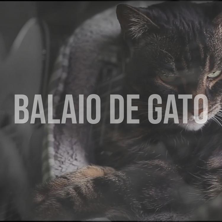 Balaio de Gato's avatar image