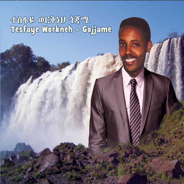 Tesfaye Workneh's avatar image