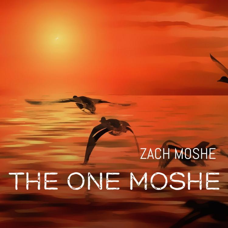 The Studio Moshe's avatar image
