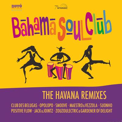 No Words (Suonho Radio Edit) By The Bahama Soul Club's cover