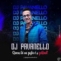 DJ PAVANELLO's avatar cover