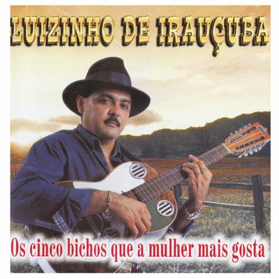 Luizinho De Iraucuba's cover