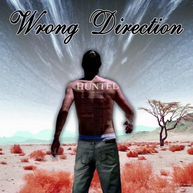 Wrong Direction's avatar image