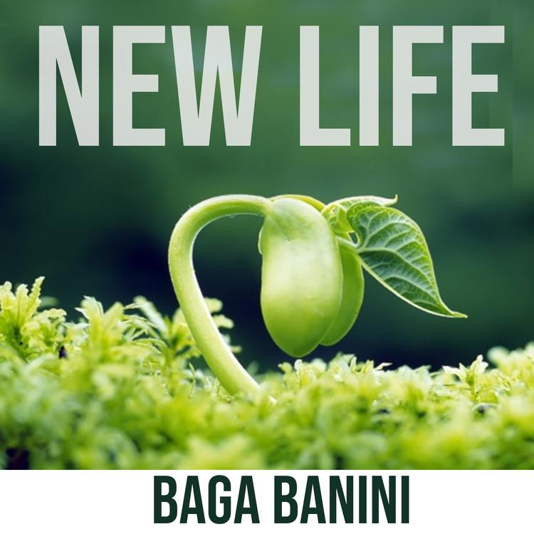 Baga Banini's avatar image