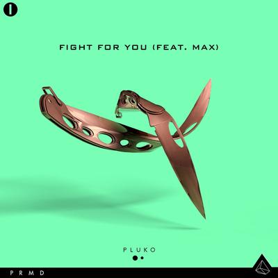 Fight For You (feat. MAX)'s cover