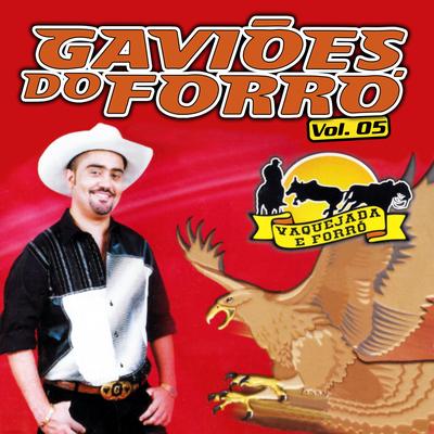 Solteirona (Ao Vivo) By Gaviões do Forró's cover