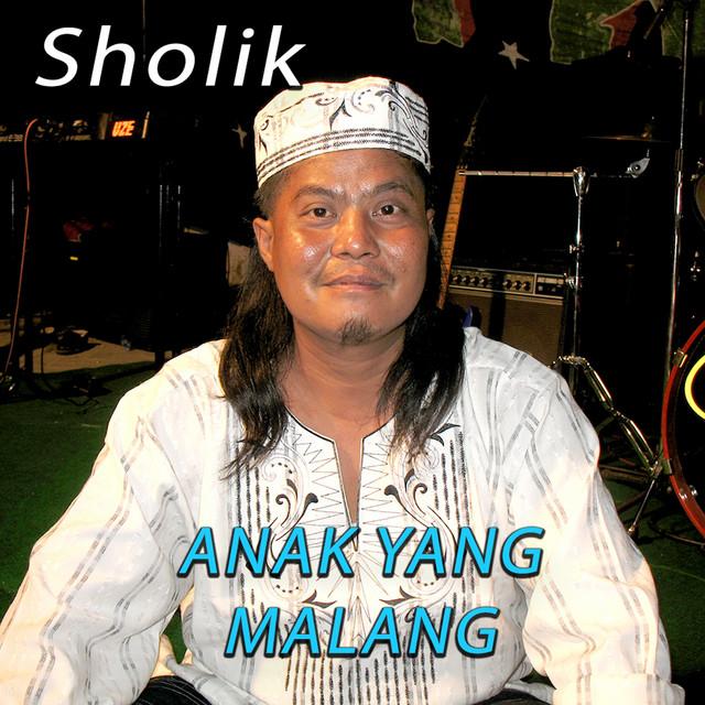 sholik's avatar image