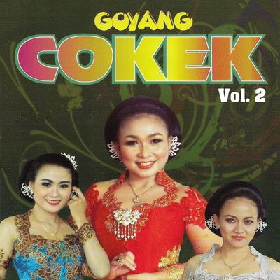 Goyang Cokek, Vol. 2's cover