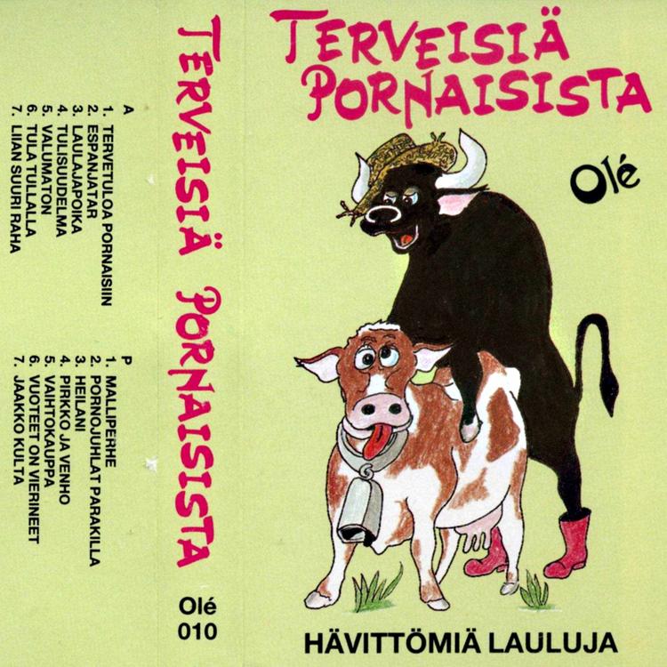 Pornaisten väki's avatar image