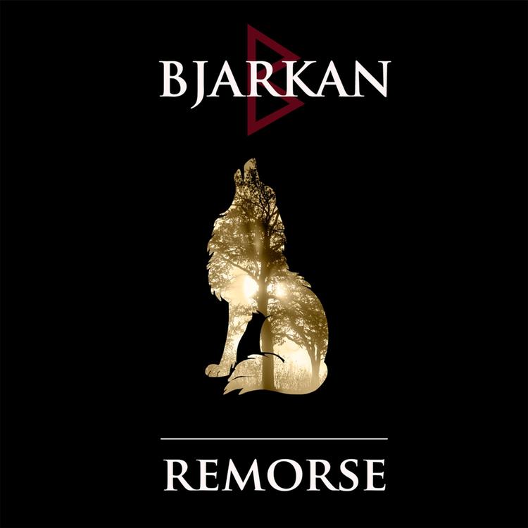 Bjarkan's avatar image