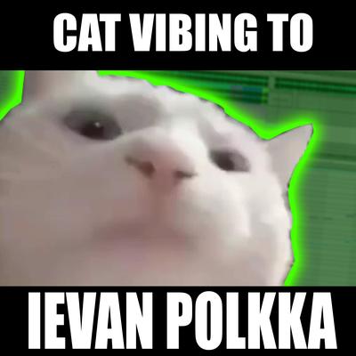 Cat Vibing To Ievan Polkka Swing's cover