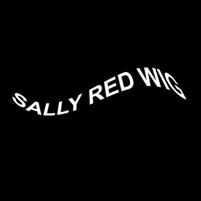 Sally Red Wig's cover