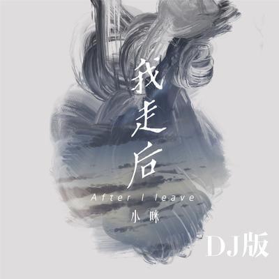 我走后 (Dj版) By 小咪's cover