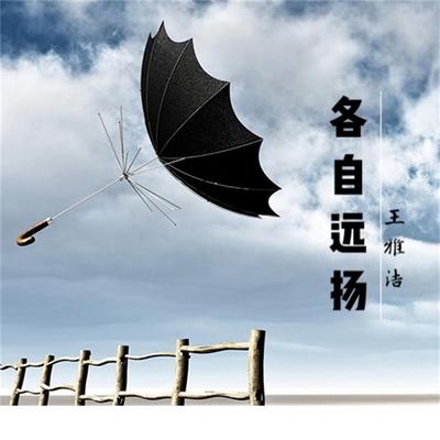 红豆's cover