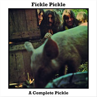 Keep on Doing What You Are Doing to Me By Fickle Pickle's cover