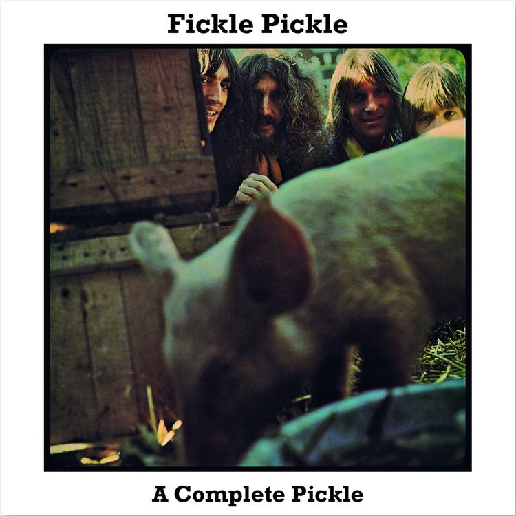 Fickle Pickle's avatar image