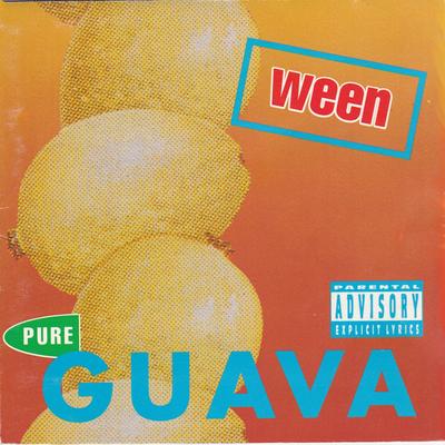 Reggaejunkiejew By Ween's cover