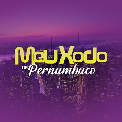 Por Amor By Banda Meu Xodó De Pernambuco's cover