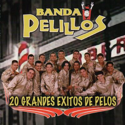 20 Grandes Exitos de Pelos's cover