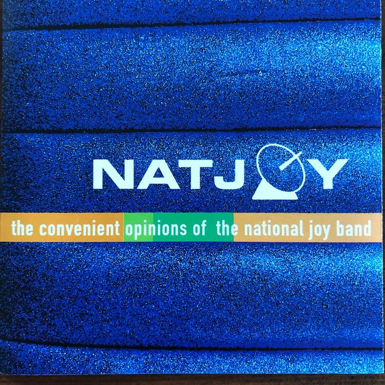 The National Joy Band's avatar image