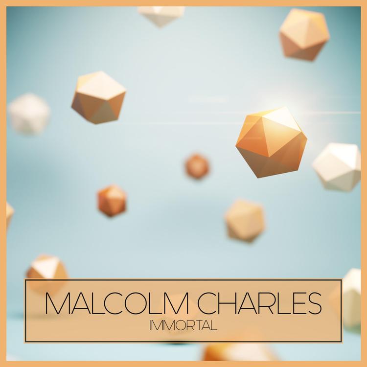 Malcolm Charles's avatar image