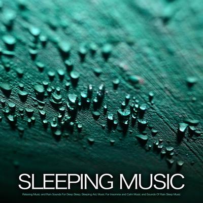 Music For Deep Sleep with Rain Sounds's cover